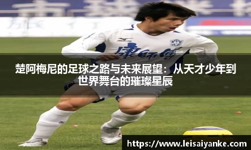 jn江南·体育登录入口